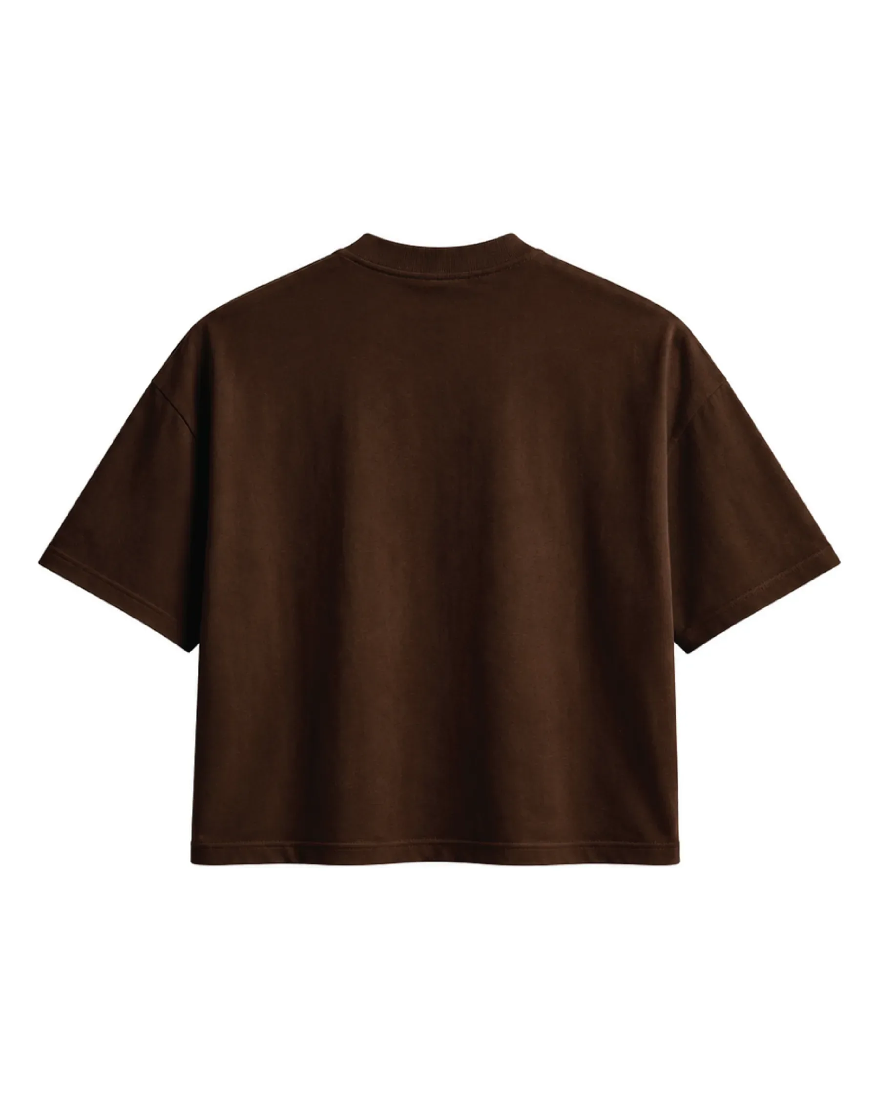 Born to Rise Above Oversized Tee – browns